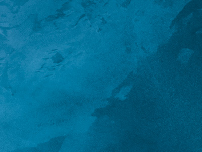 Ottocento AN771 Ottocento AN771