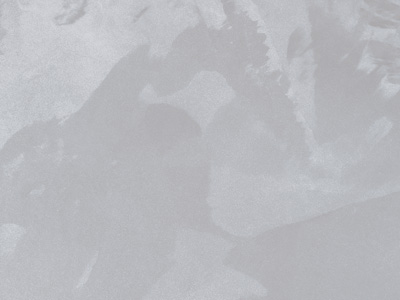 Ottocento AN813 Ottocento AN813