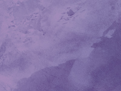 Ottocento AN821 Ottocento AN821