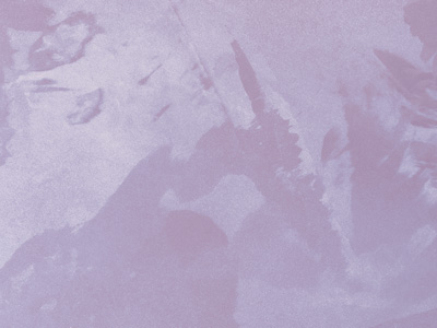 Ottocento AN822 Ottocento AN822