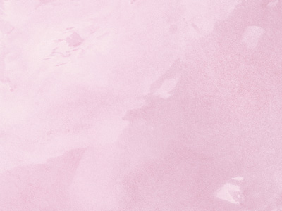 Ottocento AN824 Ottocento AN824