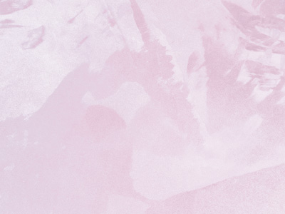 Ottocento AN825 Ottocento AN825