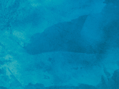 Ottocento AN831 Ottocento AN831