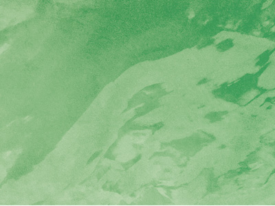 Ottocento AN842 Ottocento AN842