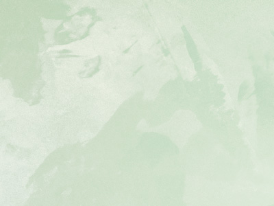 Ottocento AN845 Ottocento AN845