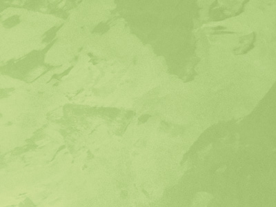 Ottocento AN851 Ottocento AN851