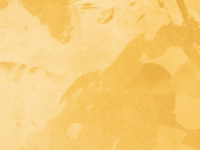 Ottocento AN861 Ottocento AN861