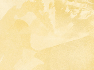 Ottocento AN863 Ottocento AN863