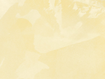 Ottocento AN864 Ottocento AN864