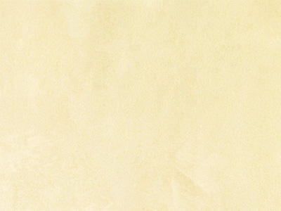 Ottocento AN865 Ottocento AN865