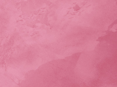 Ottocento AN881 Ottocento AN881