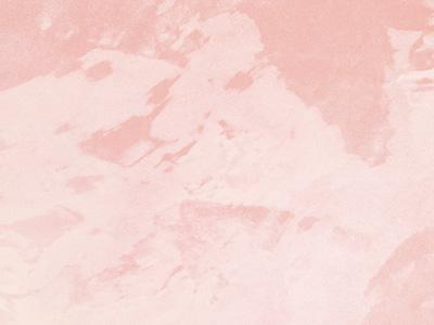 Ottocento AN883 Ottocento AN883