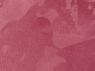 Ottocento AN891 Ottocento AN891