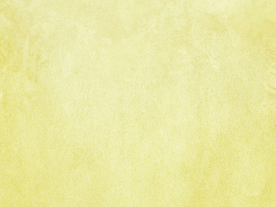 Ottocento AN901 Ottocento AN901