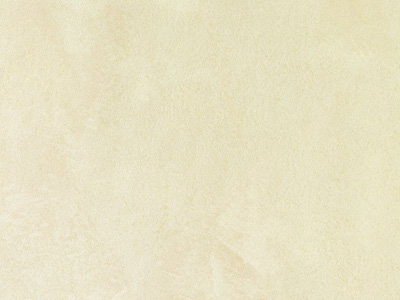 Ottocento AN904 Ottocento AN904