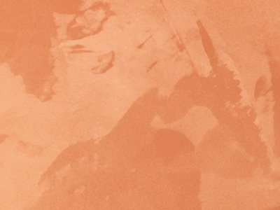 Ottocento AN910 Ottocento AN910