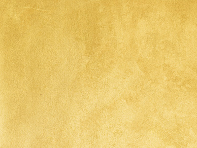 Ottocento AN911 Ottocento AN911