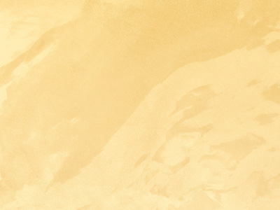 Ottocento AN917 Ottocento AN917