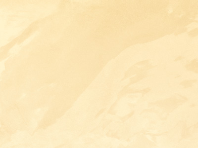 Ottocento AN919 Ottocento AN919