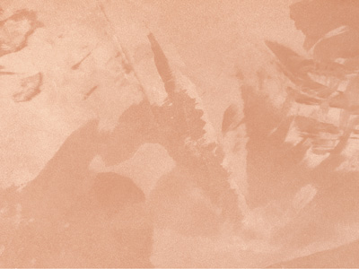 Ottocento AN922 Ottocento AN922