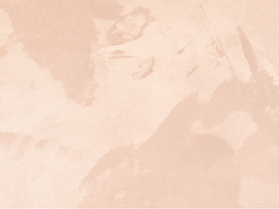 Ottocento AN924 Ottocento AN924