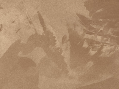 Ottocento AN927 Ottocento AN927