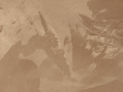 Ottocento AN928 Ottocento AN928