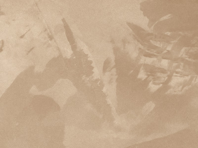 Ottocento AN929 Ottocento AN929