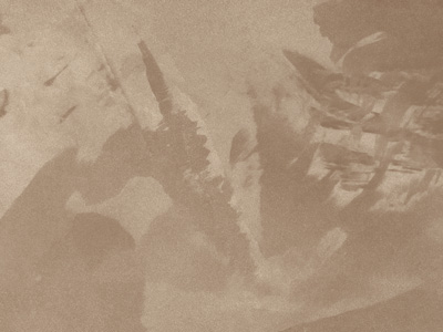 Ottocento AN937 Ottocento AN937