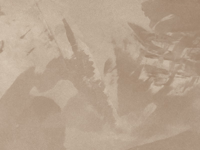 Ottocento AN938 Ottocento AN938