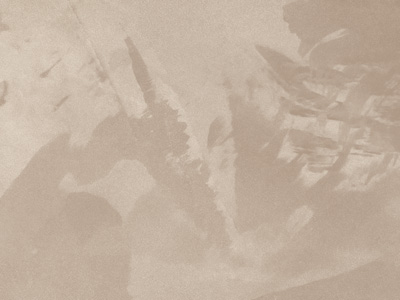 Ottocento AN939 Ottocento AN939