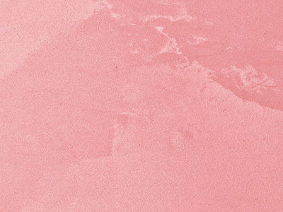 Ottocento AN953 Ottocento AN953