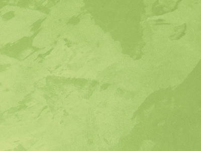 Ottocento AN955 Ottocento AN955