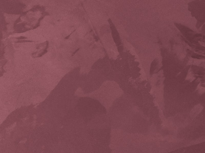 Ottocento AN956 Ottocento AN956