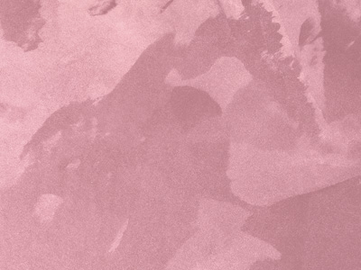 Ottocento AN957 Ottocento AN957