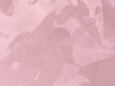 Ottocento AN958 Ottocento AN958