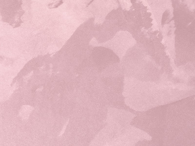 Ottocento AN959 Ottocento AN959