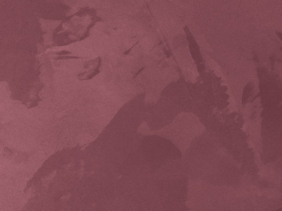 Ottocento AN961 Ottocento AN961