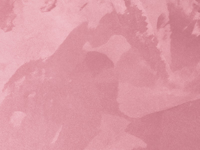 Ottocento AN962 Ottocento AN962