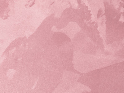 Ottocento AN963 Ottocento AN963