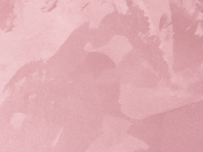 Ottocento AN964 Ottocento AN964