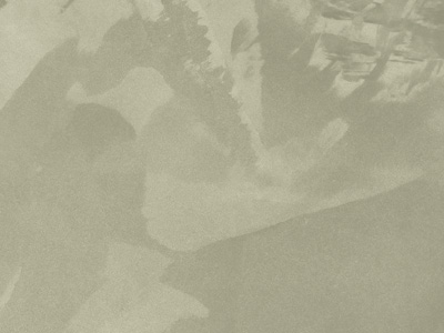 Ottocento AN973 Ottocento AN973