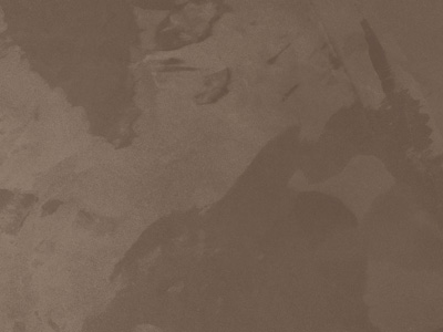 Ottocento AN981 Ottocento AN981